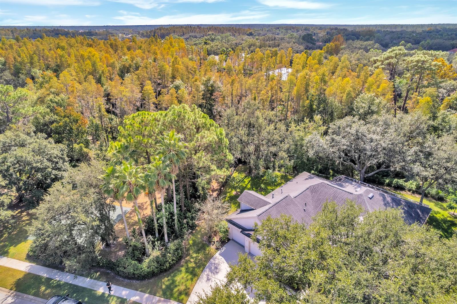 10218 Shadow Branch Drive, FL