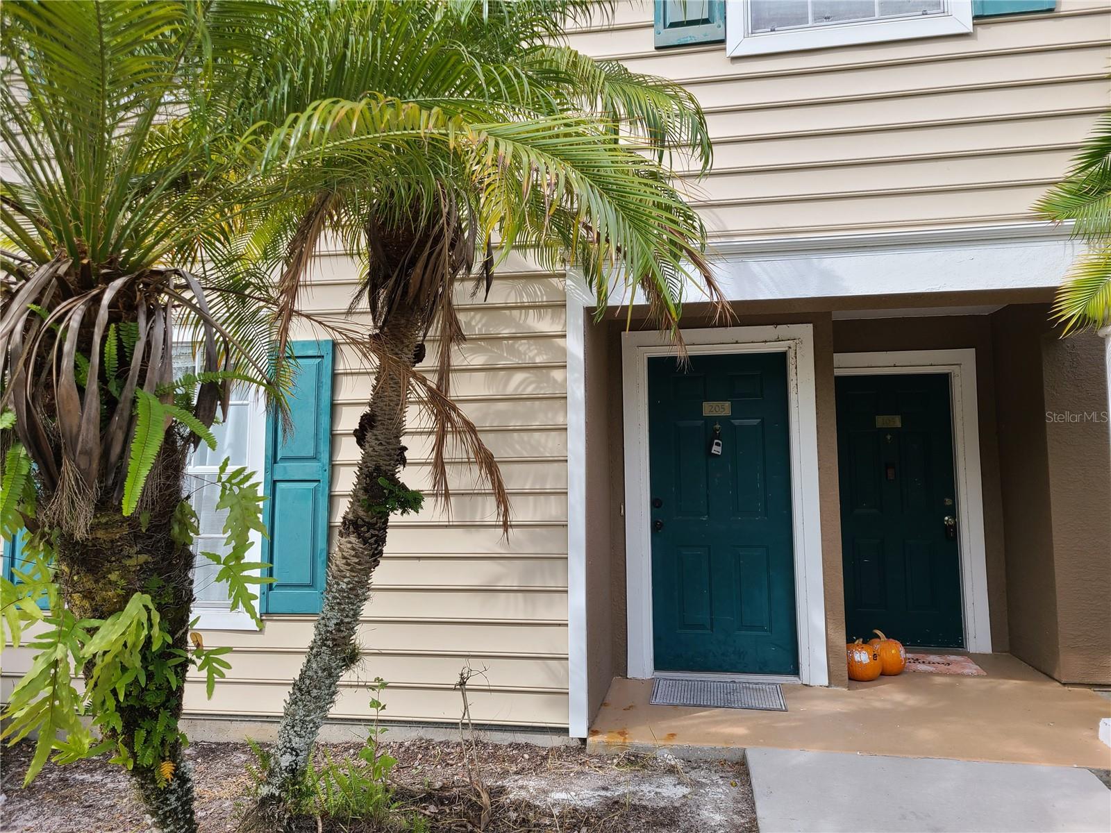 8911 Manor Loop #205, FL