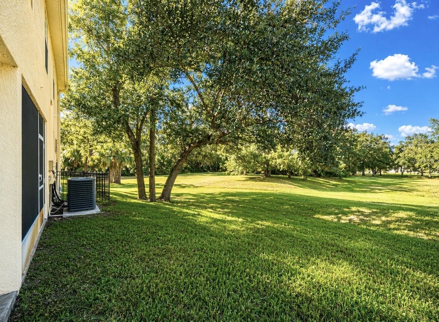 1965 Fiesta Ridge Court, FL