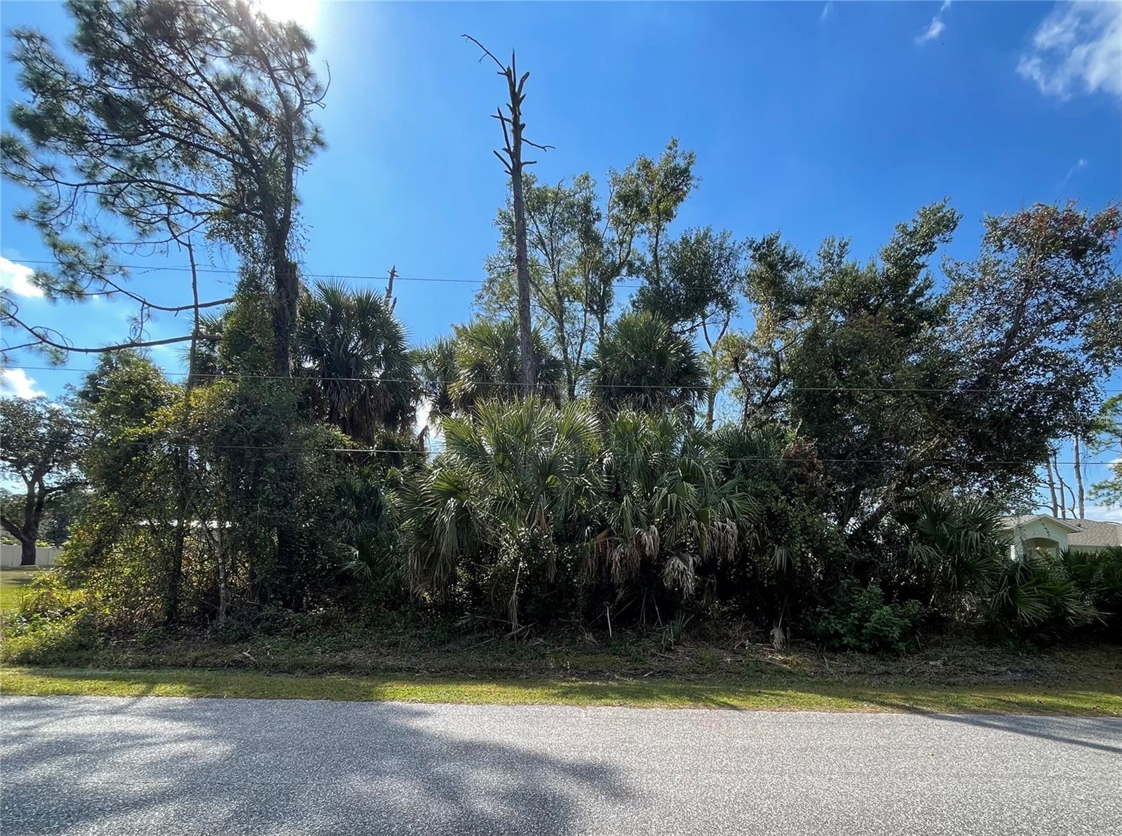 Lot 18 Longwell Ln, FL