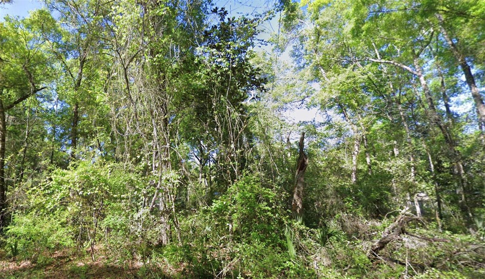 Tbd Se 926th St St, FL