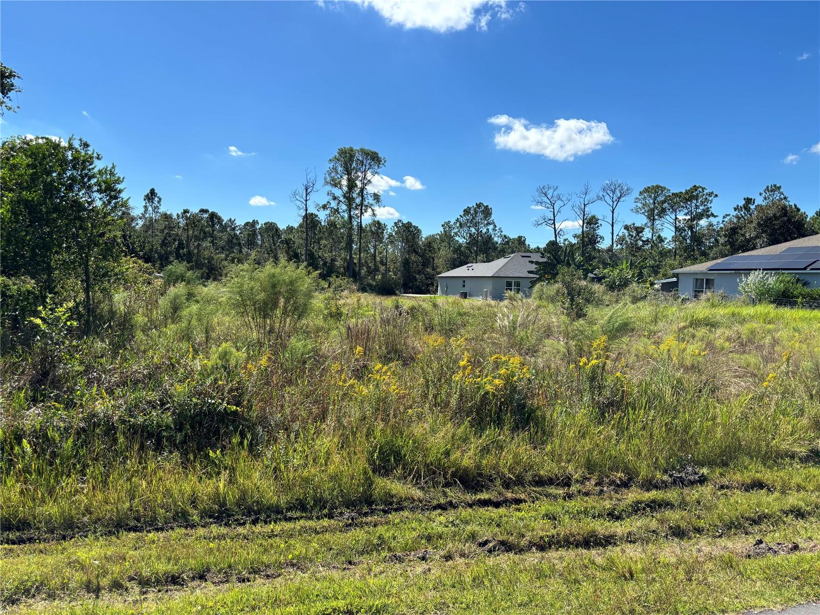 8011 Ancha Street, FL