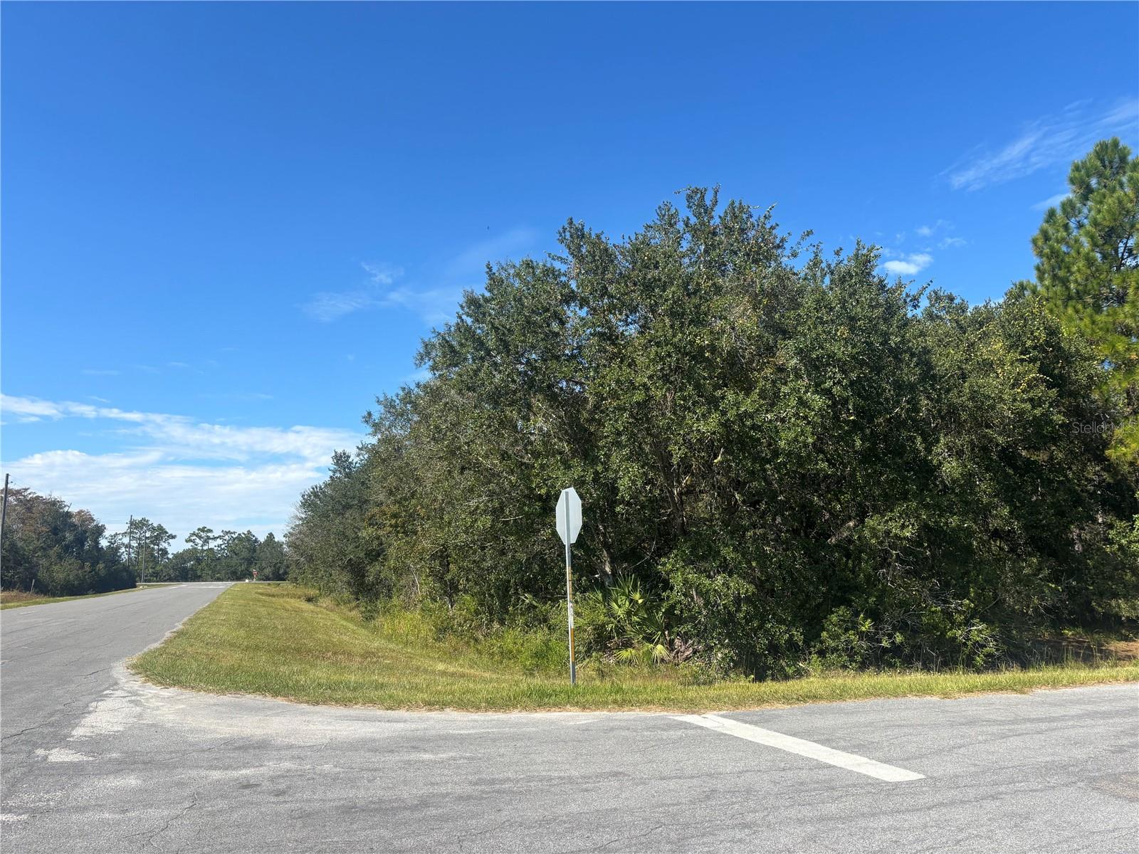Coronet Avenue, FL
