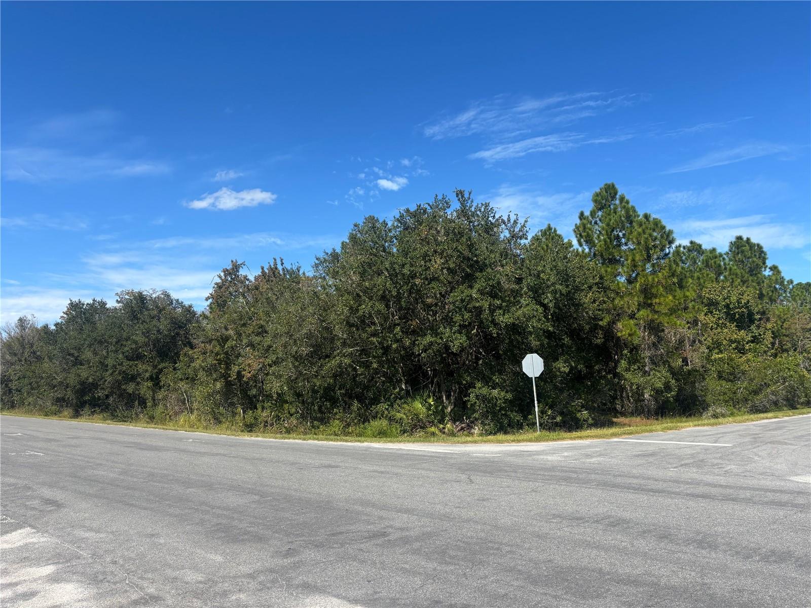 Coronet Avenue, FL