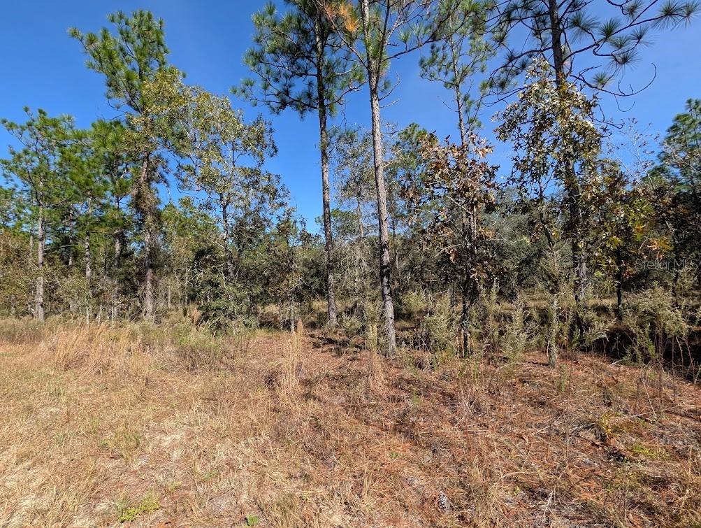 Se 135th Ct, FL