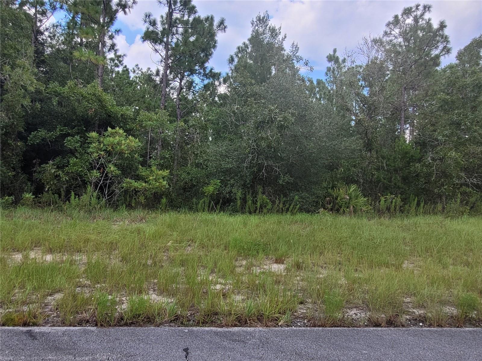 135 Street, FL