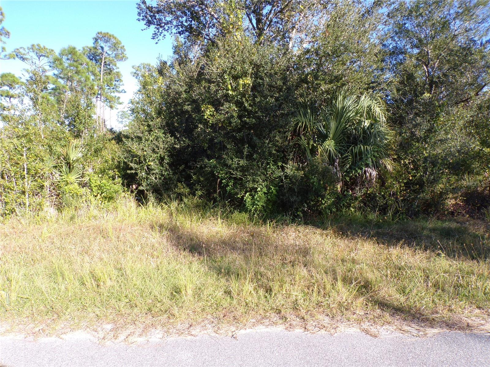 442 Lackland Street, FL