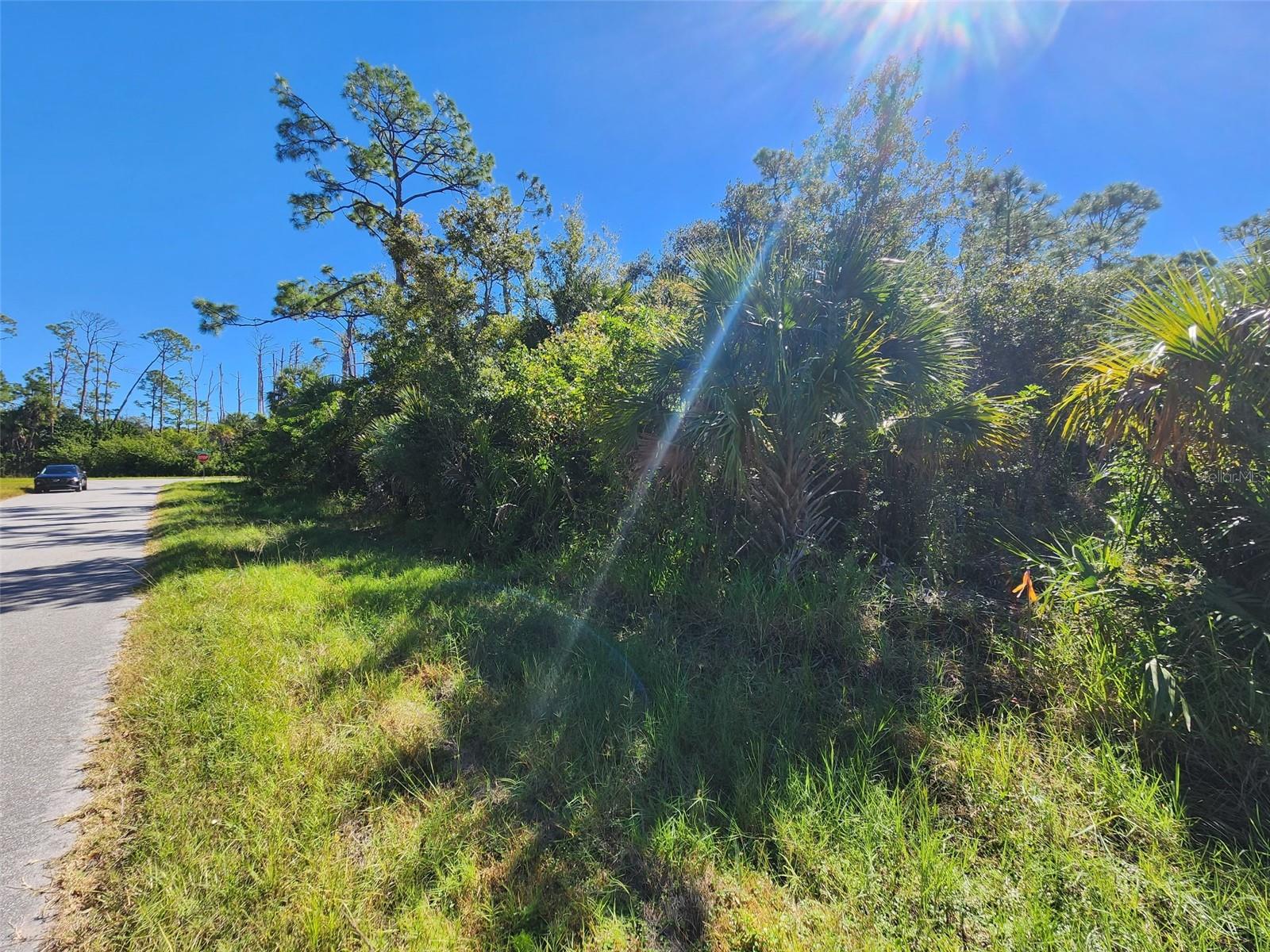14519 Twining Avenue, FL