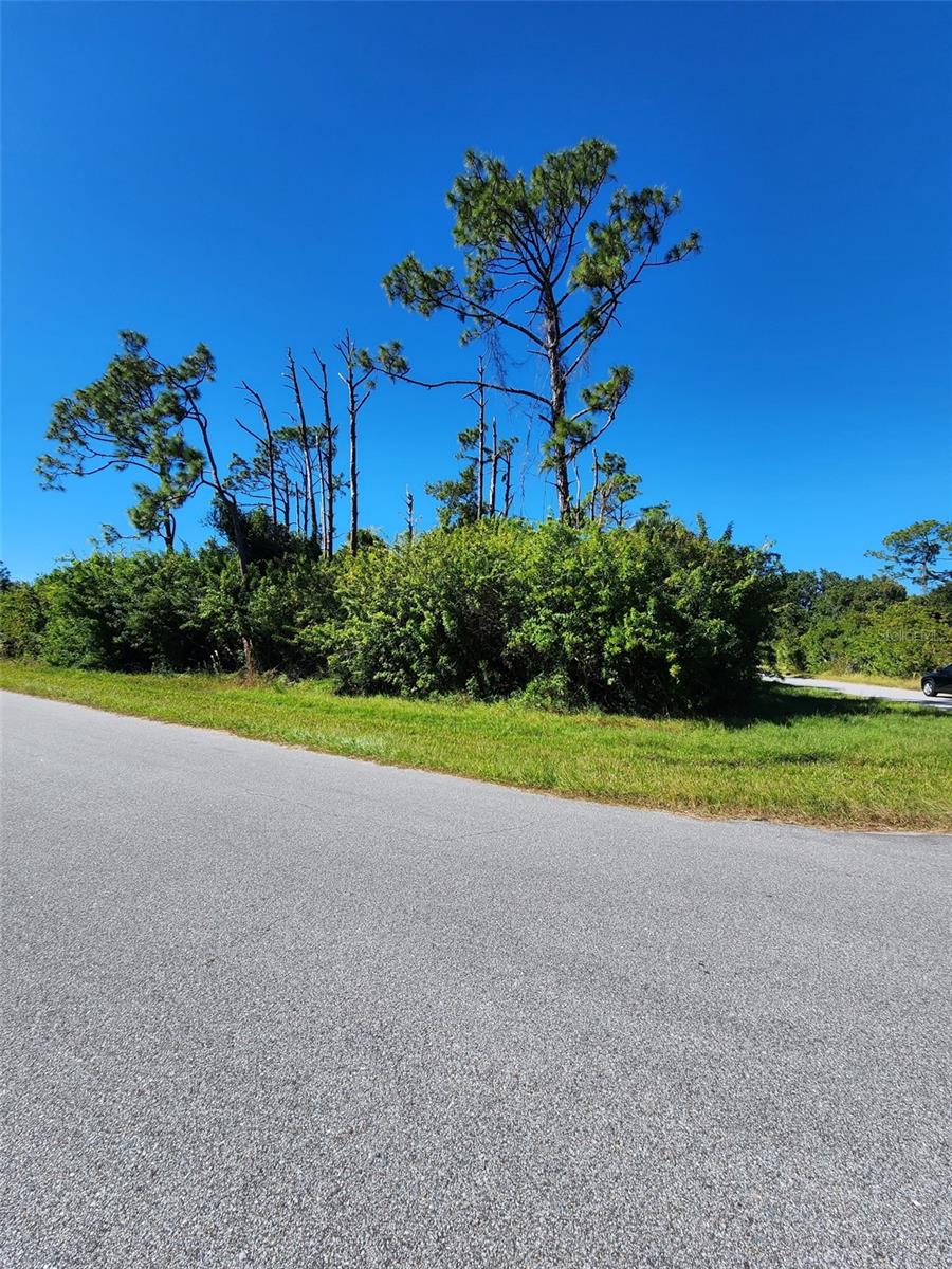 14519 Twining Avenue, FL