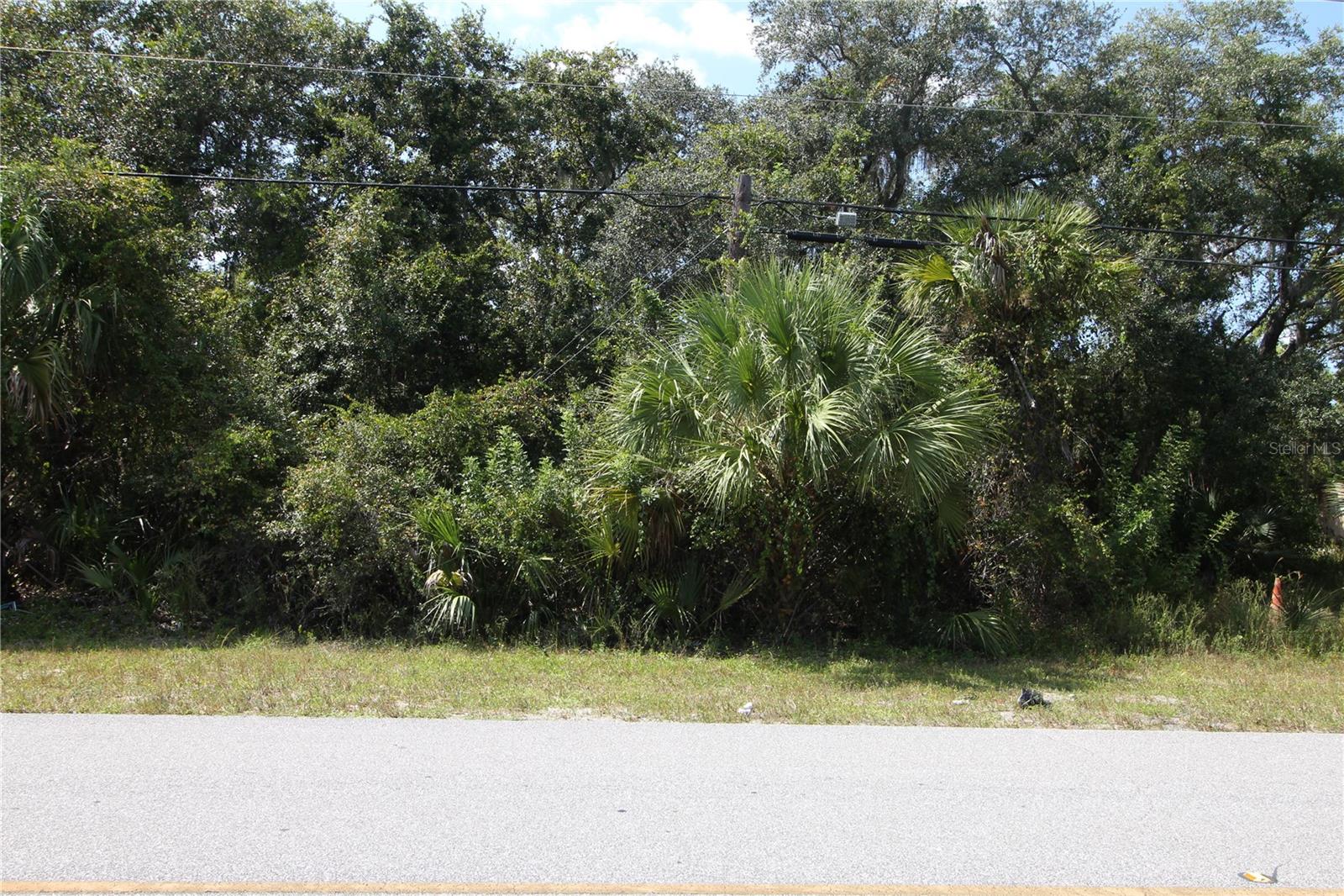 Hillsborough Boulevard, FL