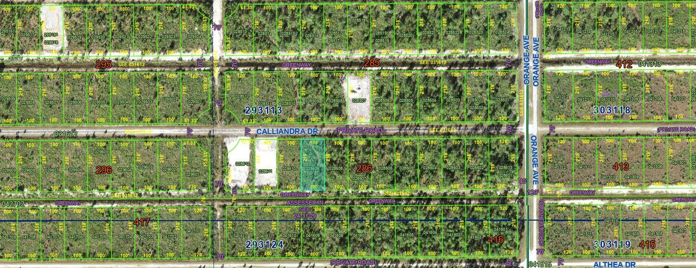 817 Calliandra Drive, FL