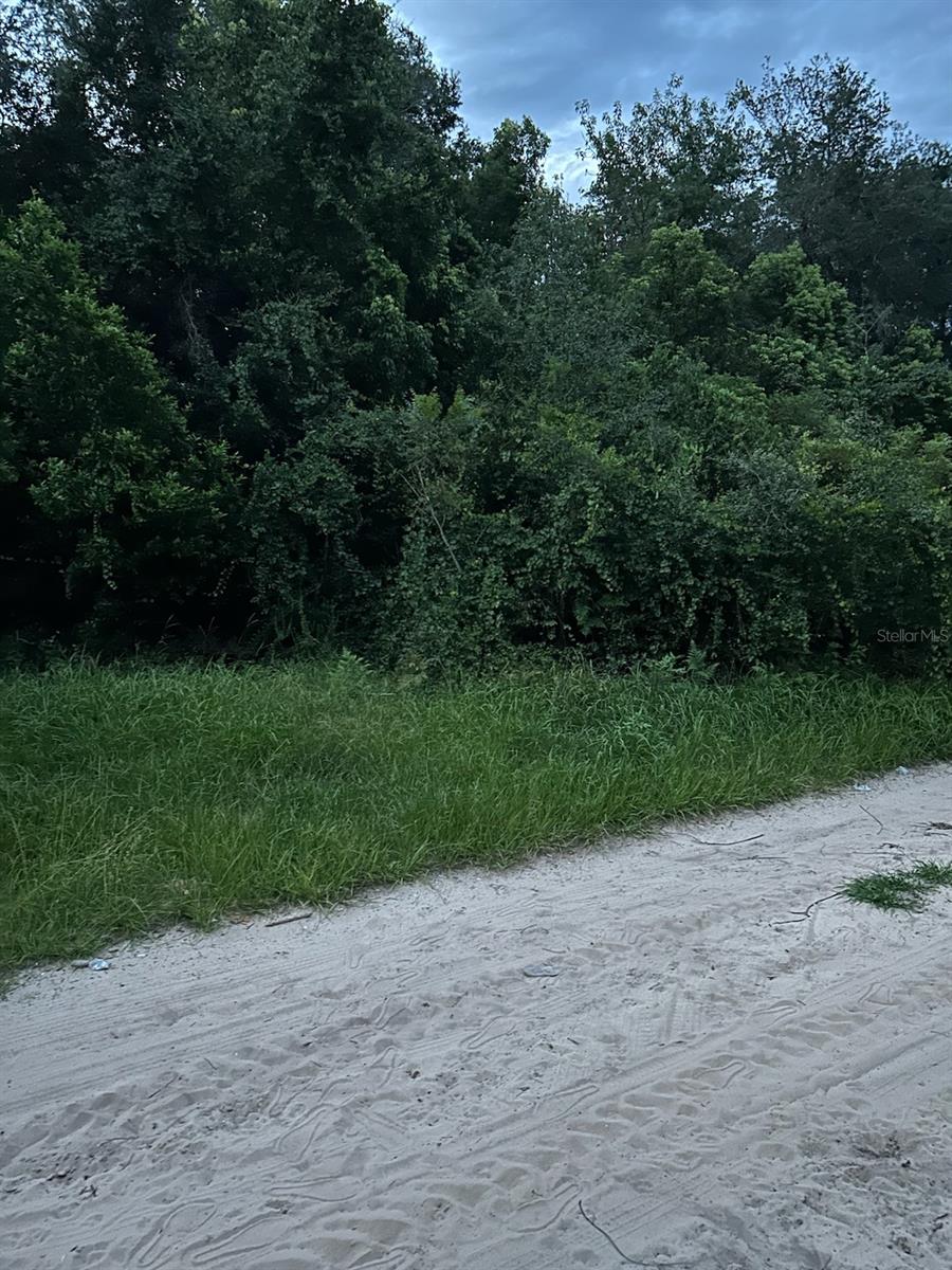 Se 135 Ln, FL