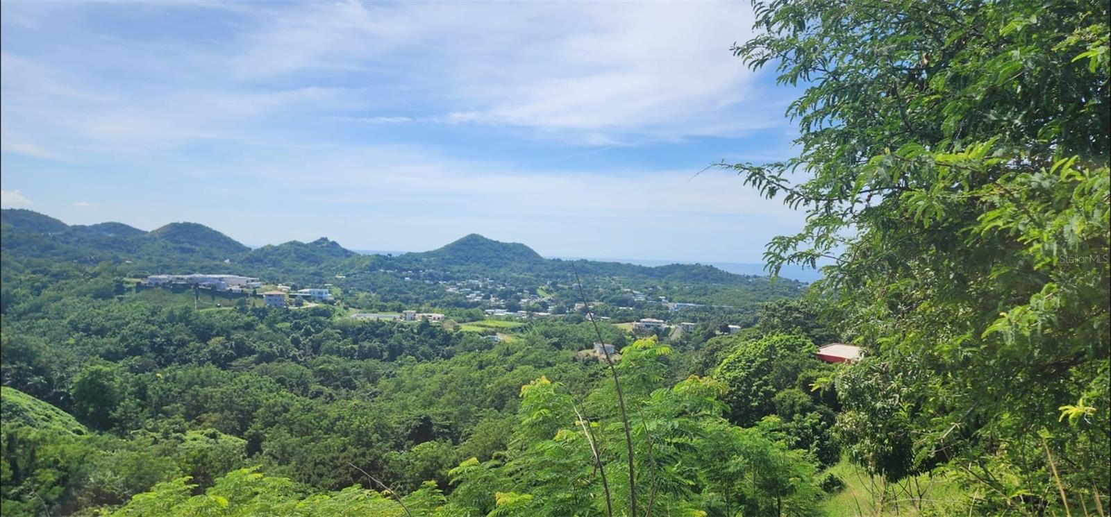 Carr. 412, Km. 4.8 Calle Pascual Nieves, Bo. Calvache, PR