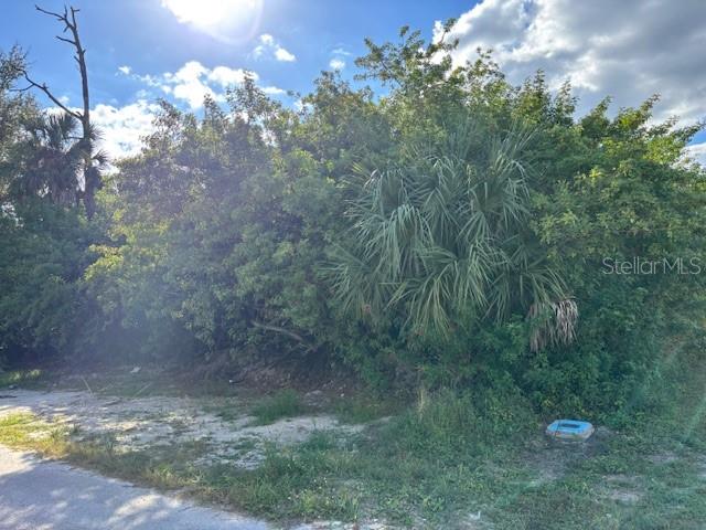 4363 Boggs Street, FL