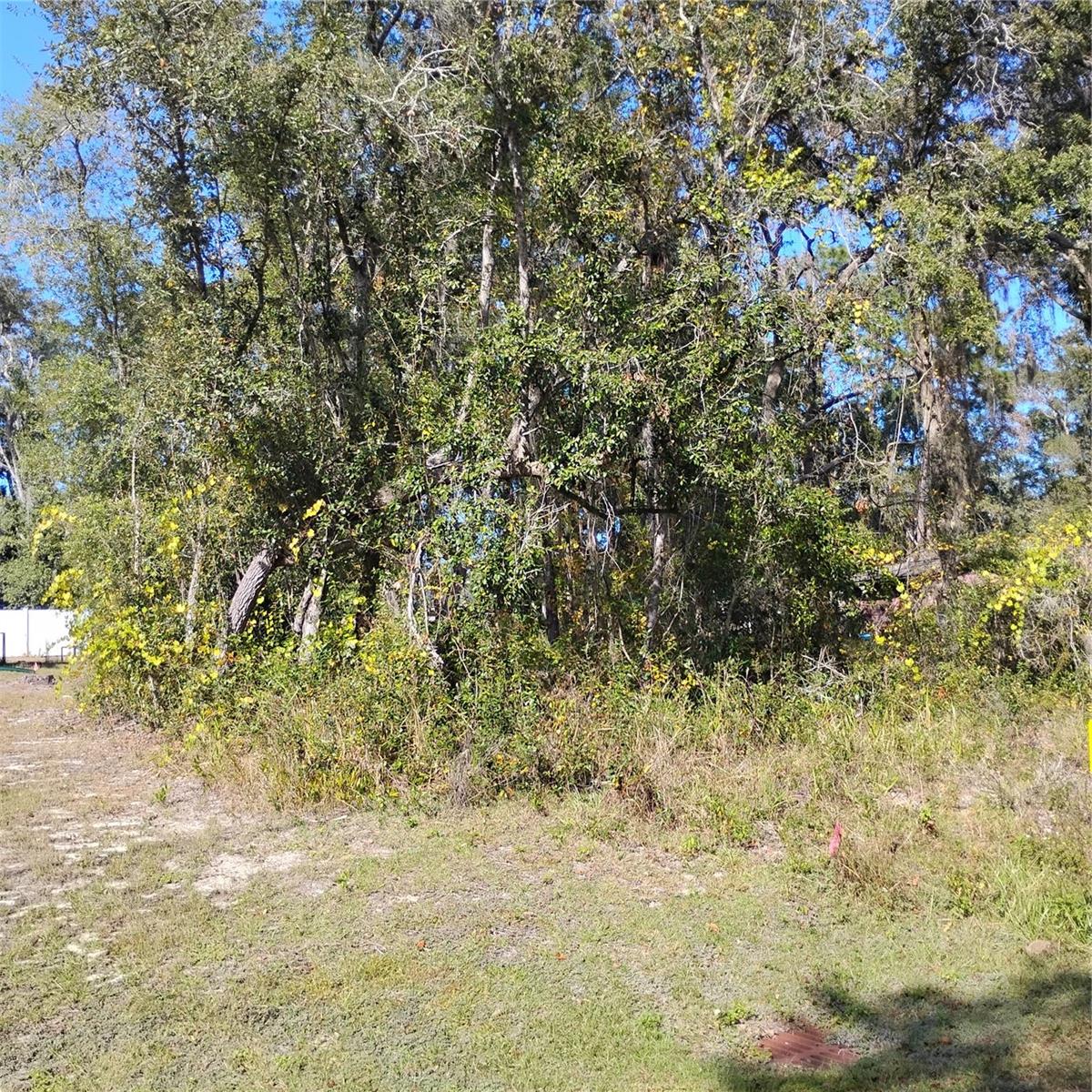 Tbd Se 61st Pl, FL