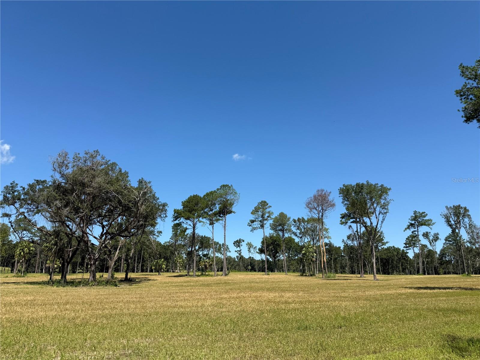 Dr #8 (10ac) 193rd St, FL