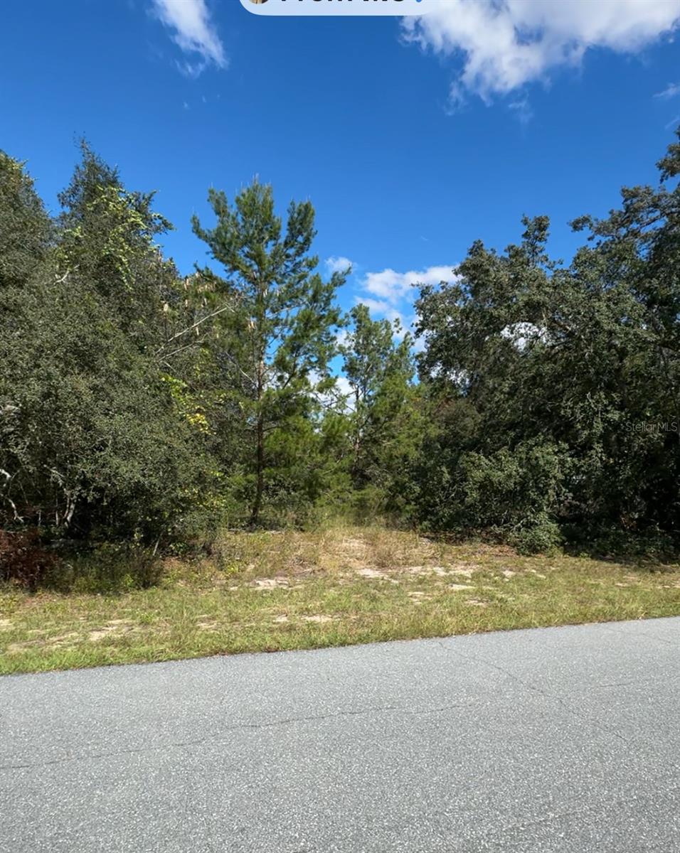 Tbd Sw 166th Street, FL