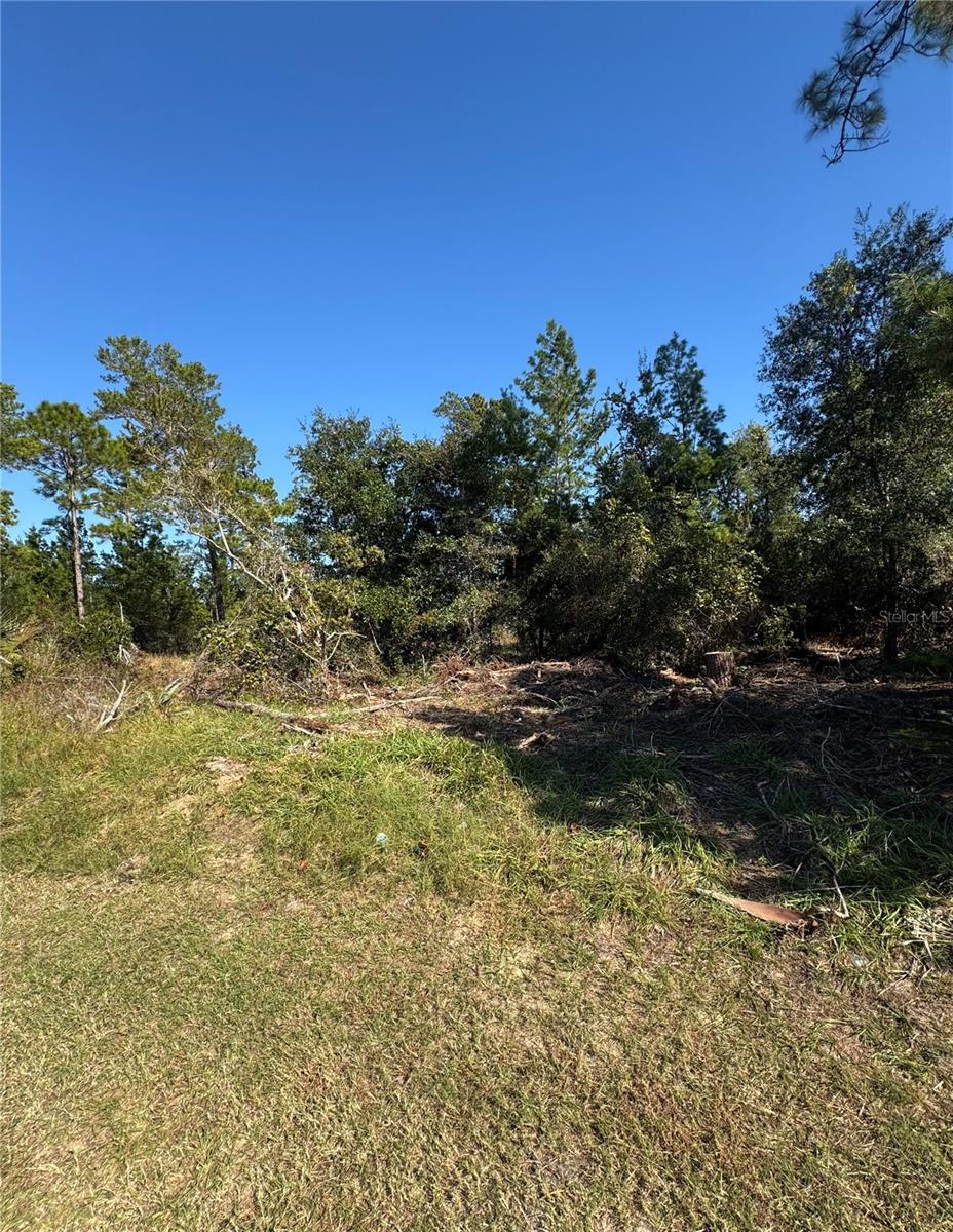 19 Freeport Lane, FL