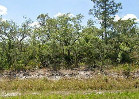 978 Archie Summers Rd, FL