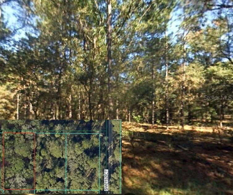 0 Sw 12 Pl Sw #Lot 3, FL