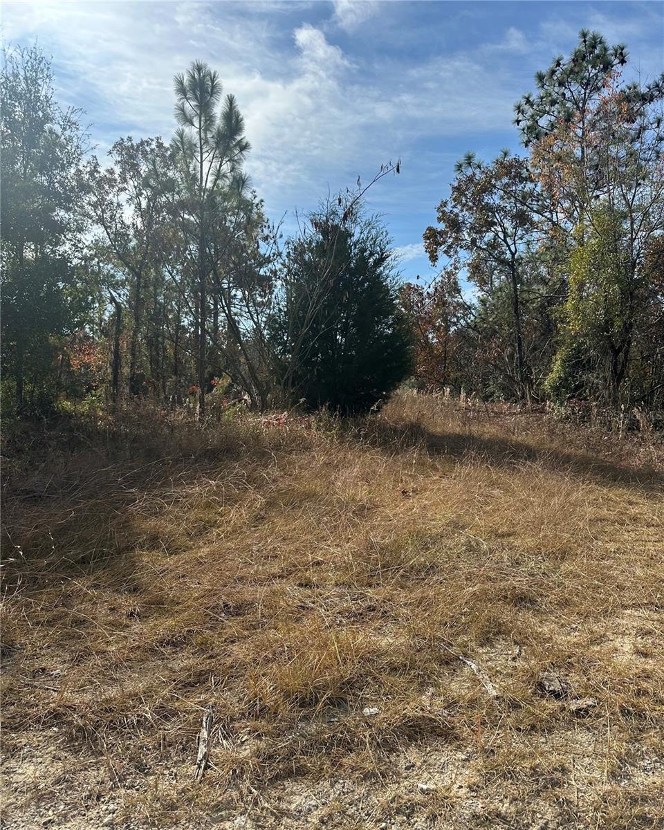 Lot 2 151st Ter, FL