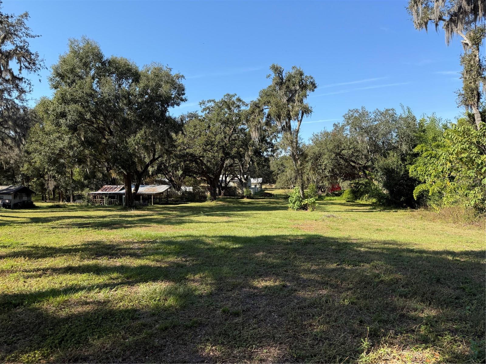 Tract 6 Woody Lane, FL