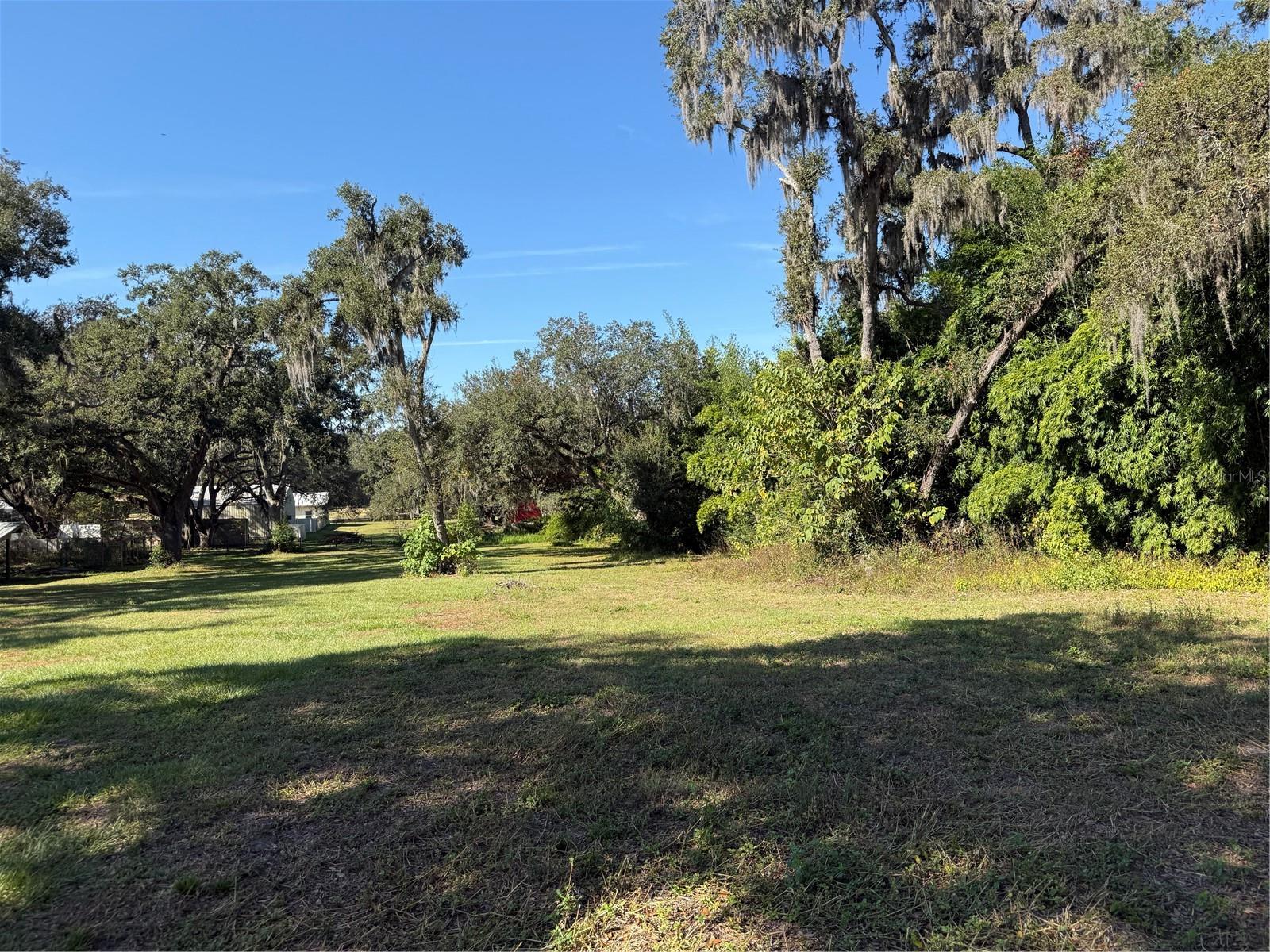 Tract 6 Woody Lane, FL