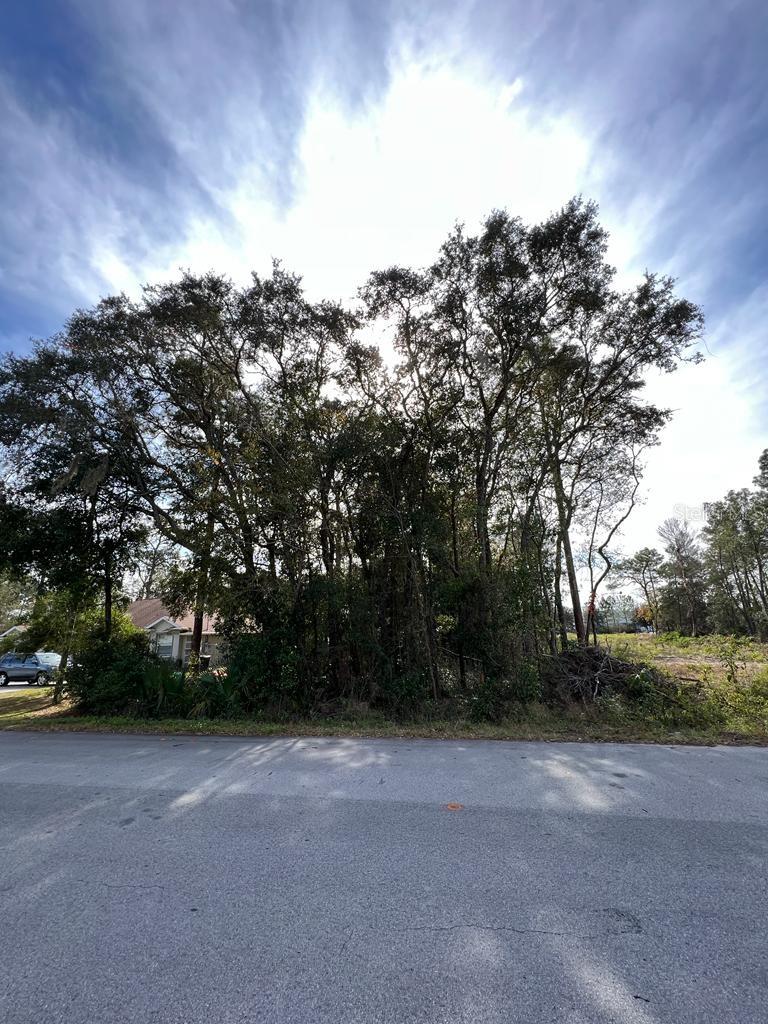Bahia Terrace, FL