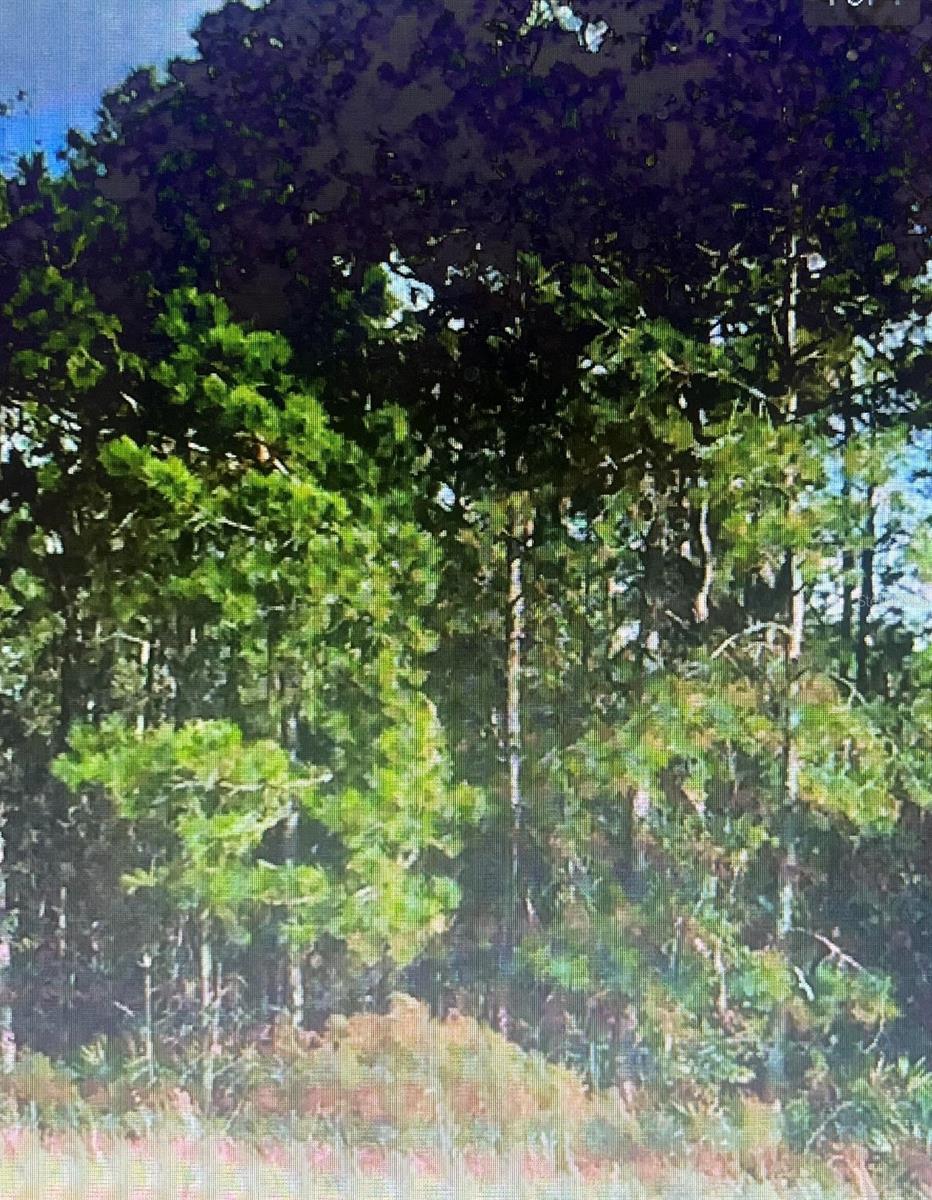 Sw 194 St, Archer,Fl 32618 - O4462-011-000, FL