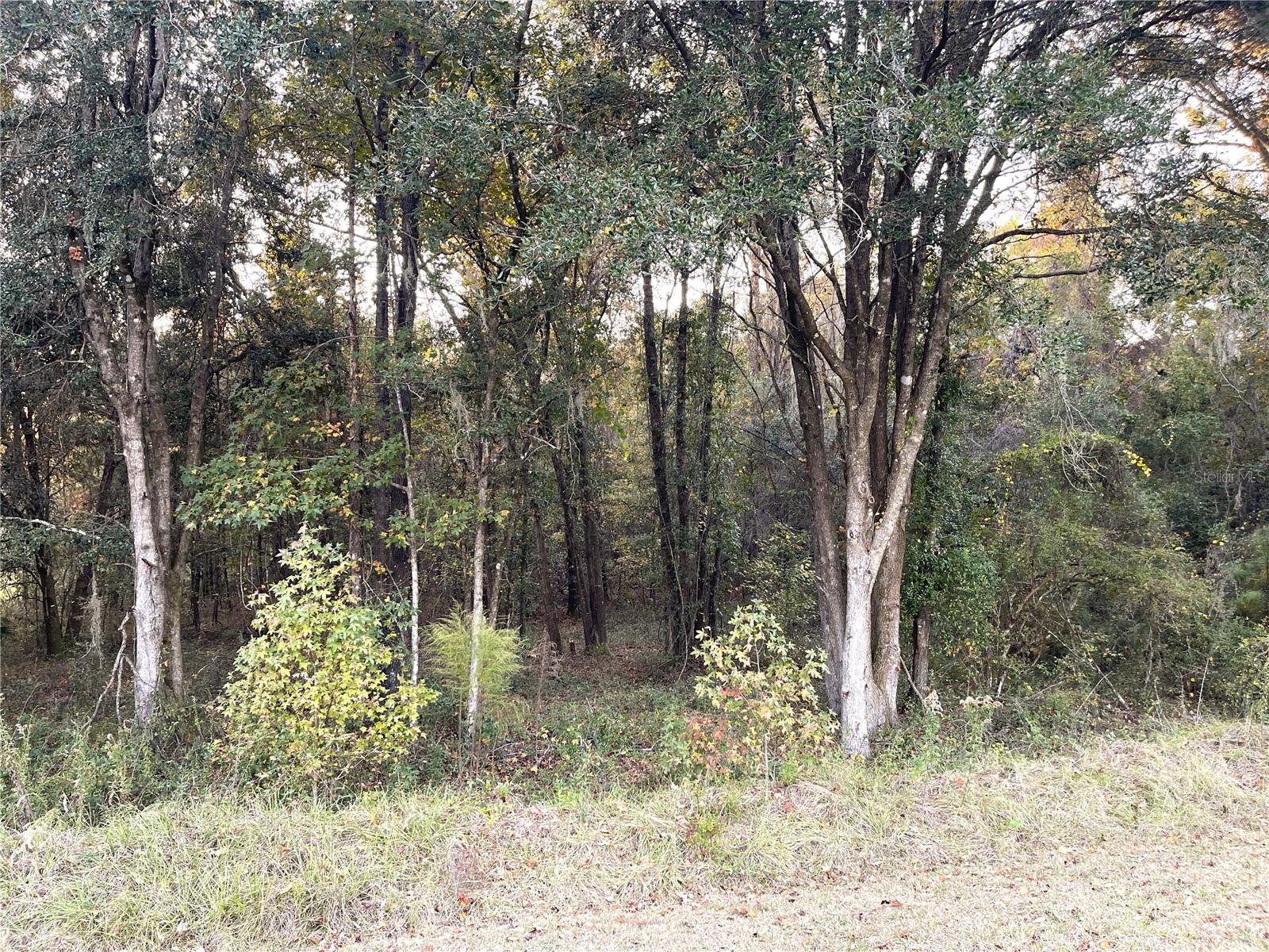 Nw 145th Ave Lot 25, FL