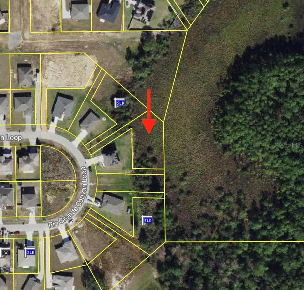 2159 Rio Grande Canyon Loop, FL