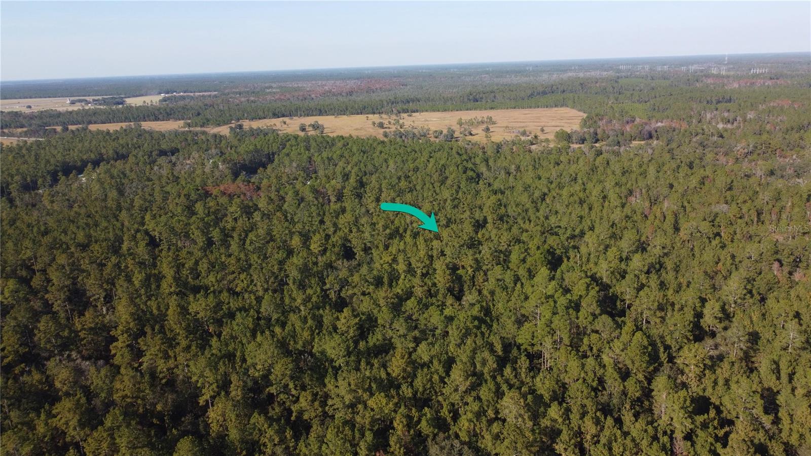 4619 State Hwy 100, FL