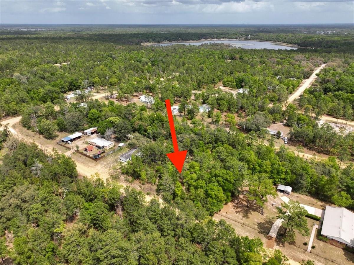 118 Patch Street, FL