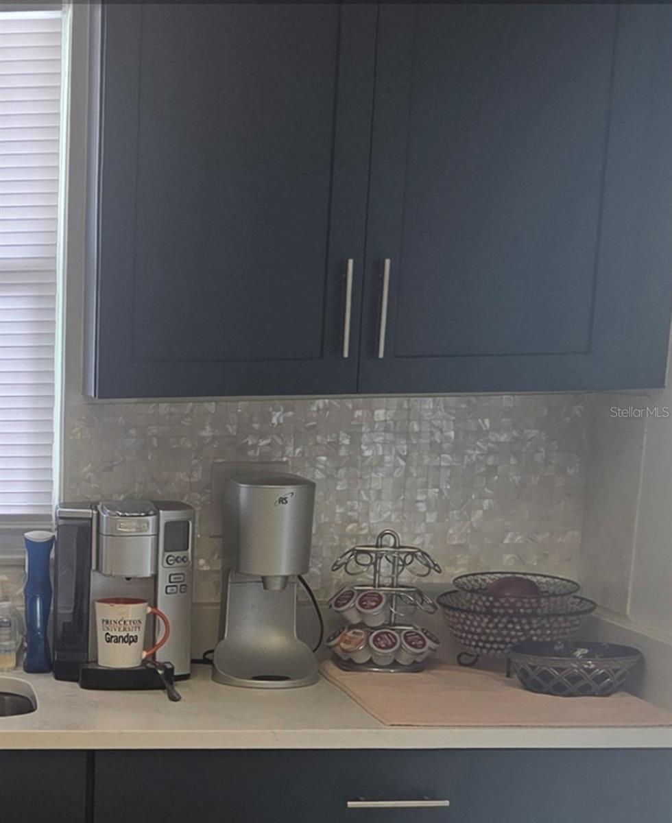 3288 Lake Bayshore Drive, FL