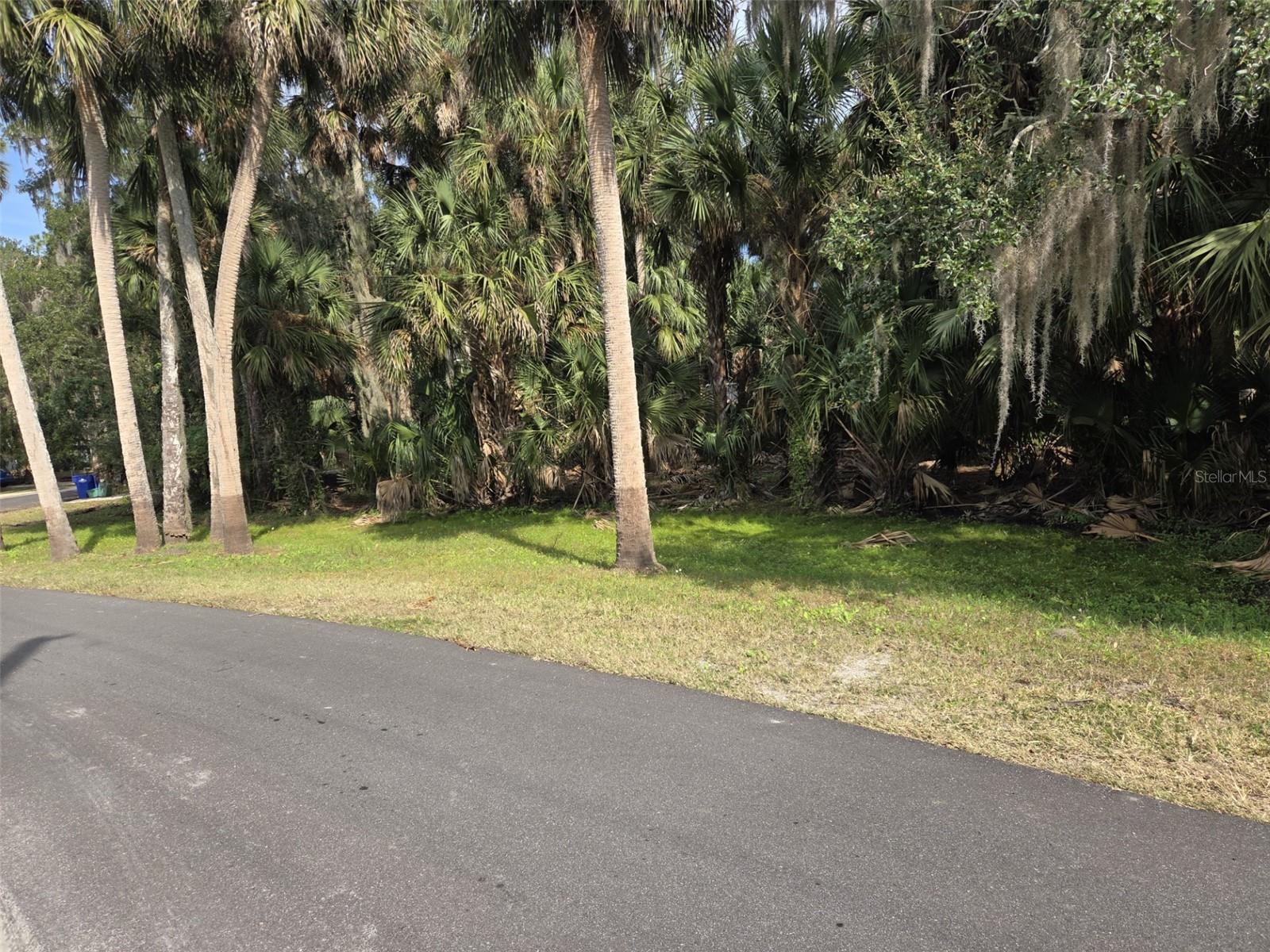 447 Warrior Trl, FL