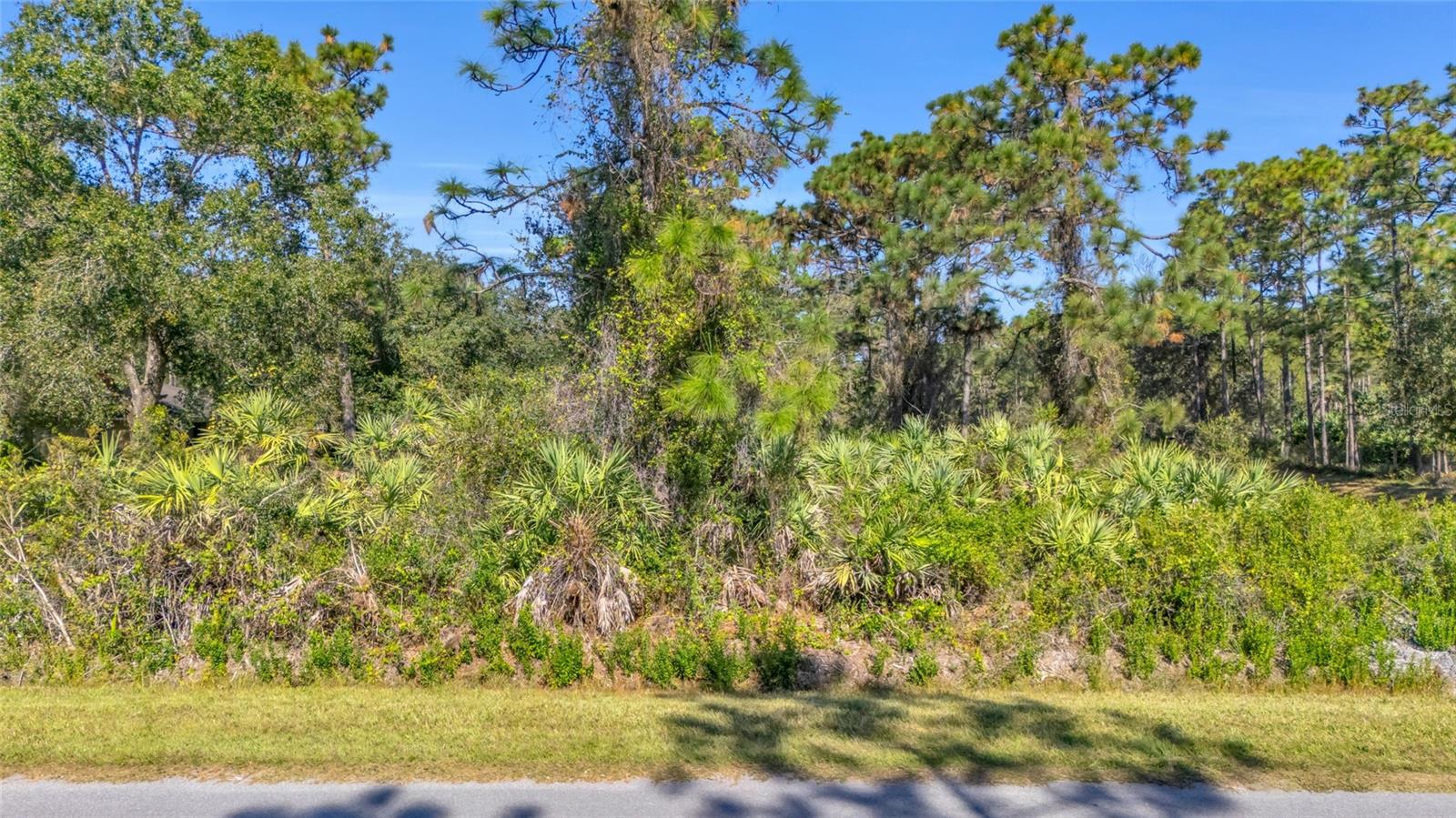 Quinlan St, FL