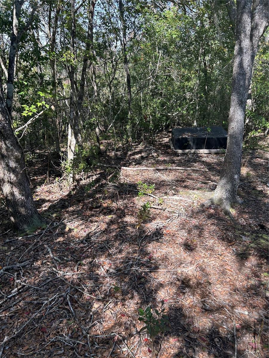 7740 Smoke Trail, FL