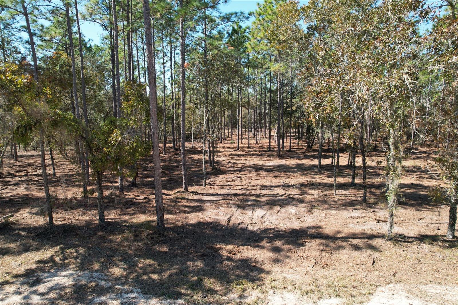 93rd Terrace, FL