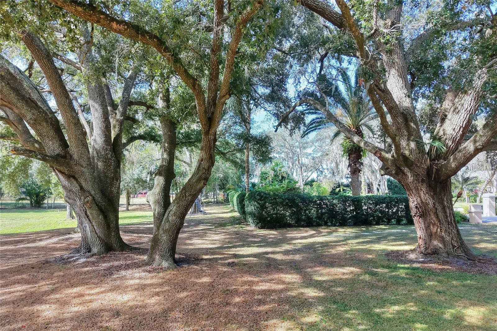 Island Way, FL