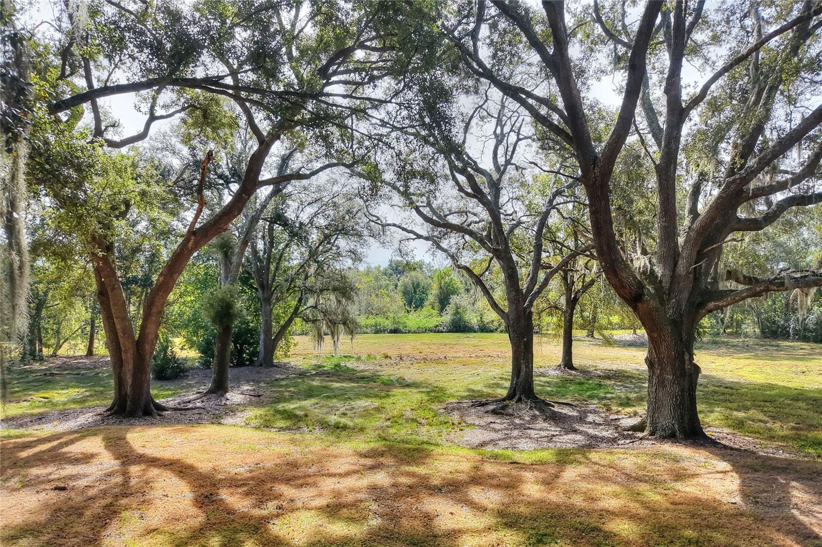 Island Way, FL