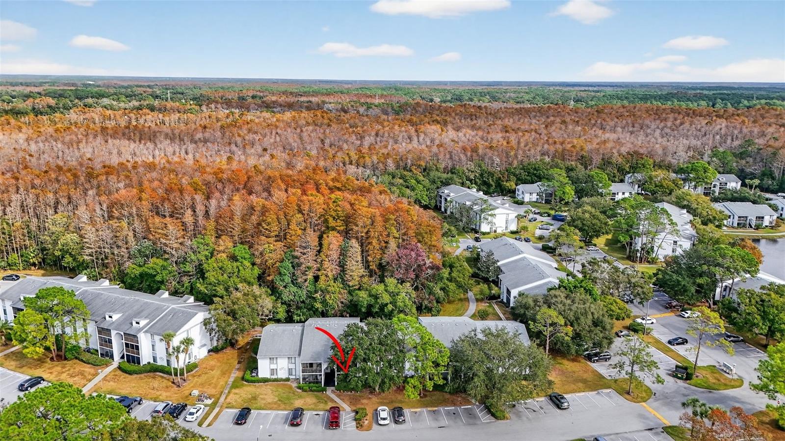 1258 Pine Ridge Circle, FL