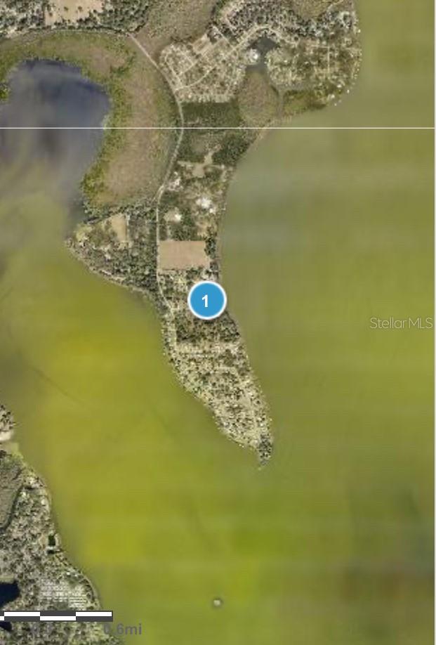 Mockingbird Lane, FL