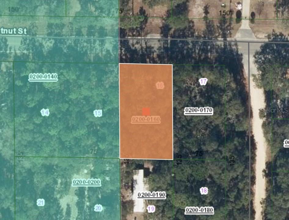 113 Chestnut St, FL