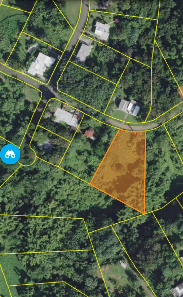 Calle Pitirre #Lot 46, PR