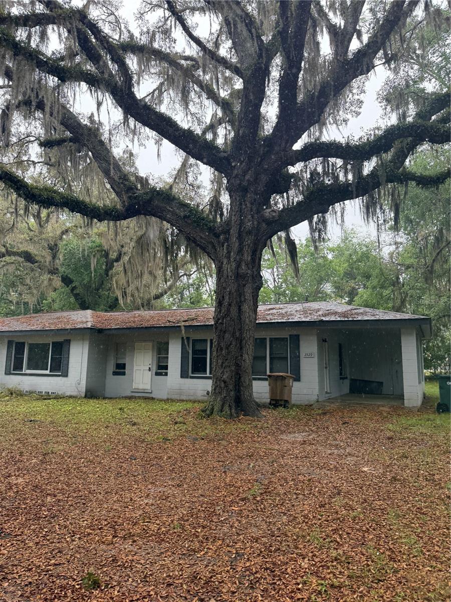2529 Nw 1st Ave, FL