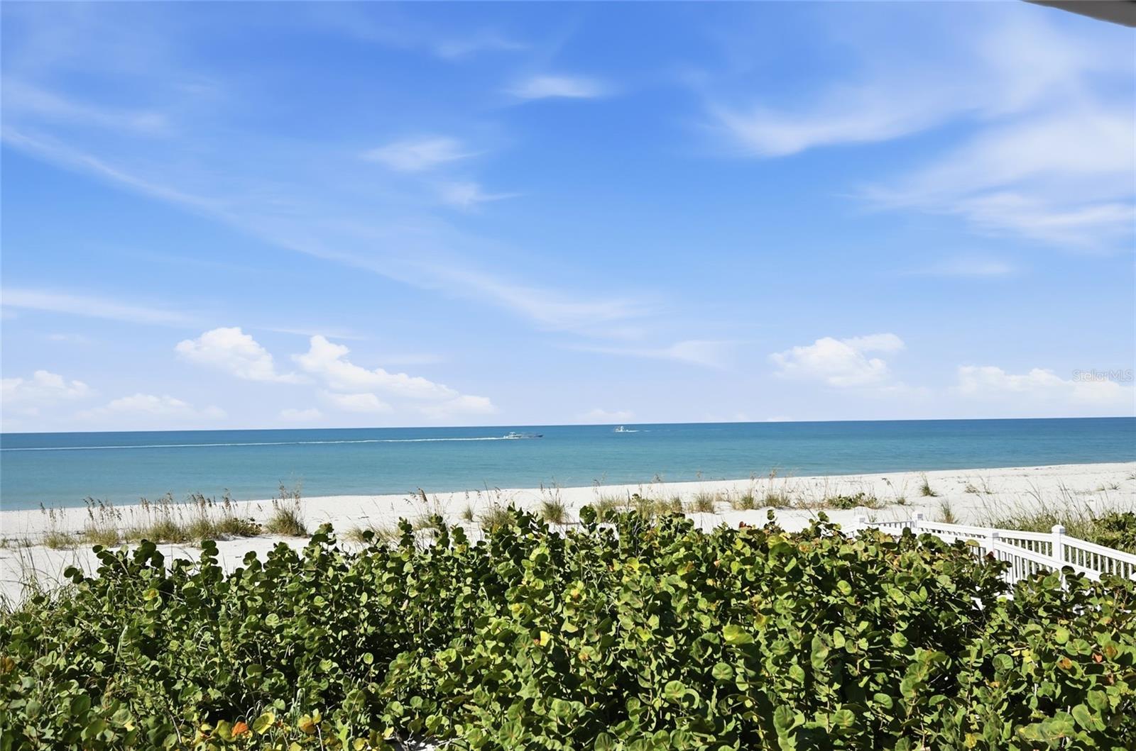 380 Gulf Blvd #1, FL