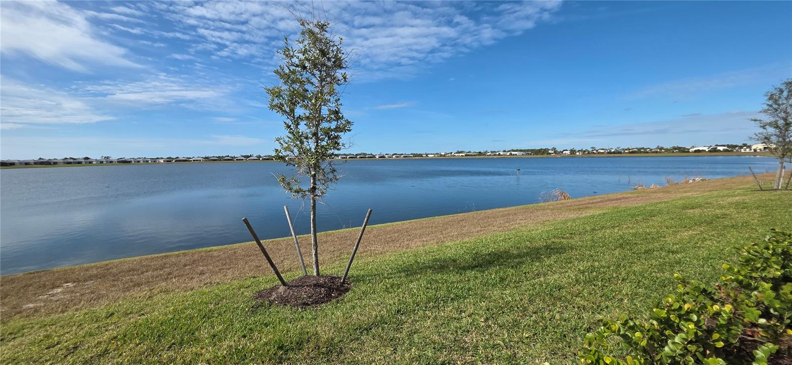 8140 Shore Lake Drive, FL