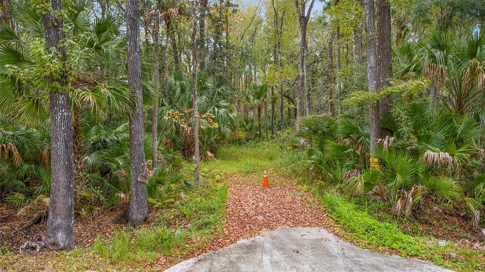1100 Maytown Rd, FL