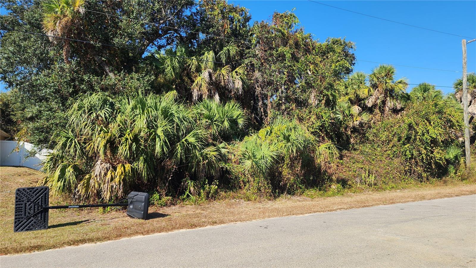 Andy Road, FL