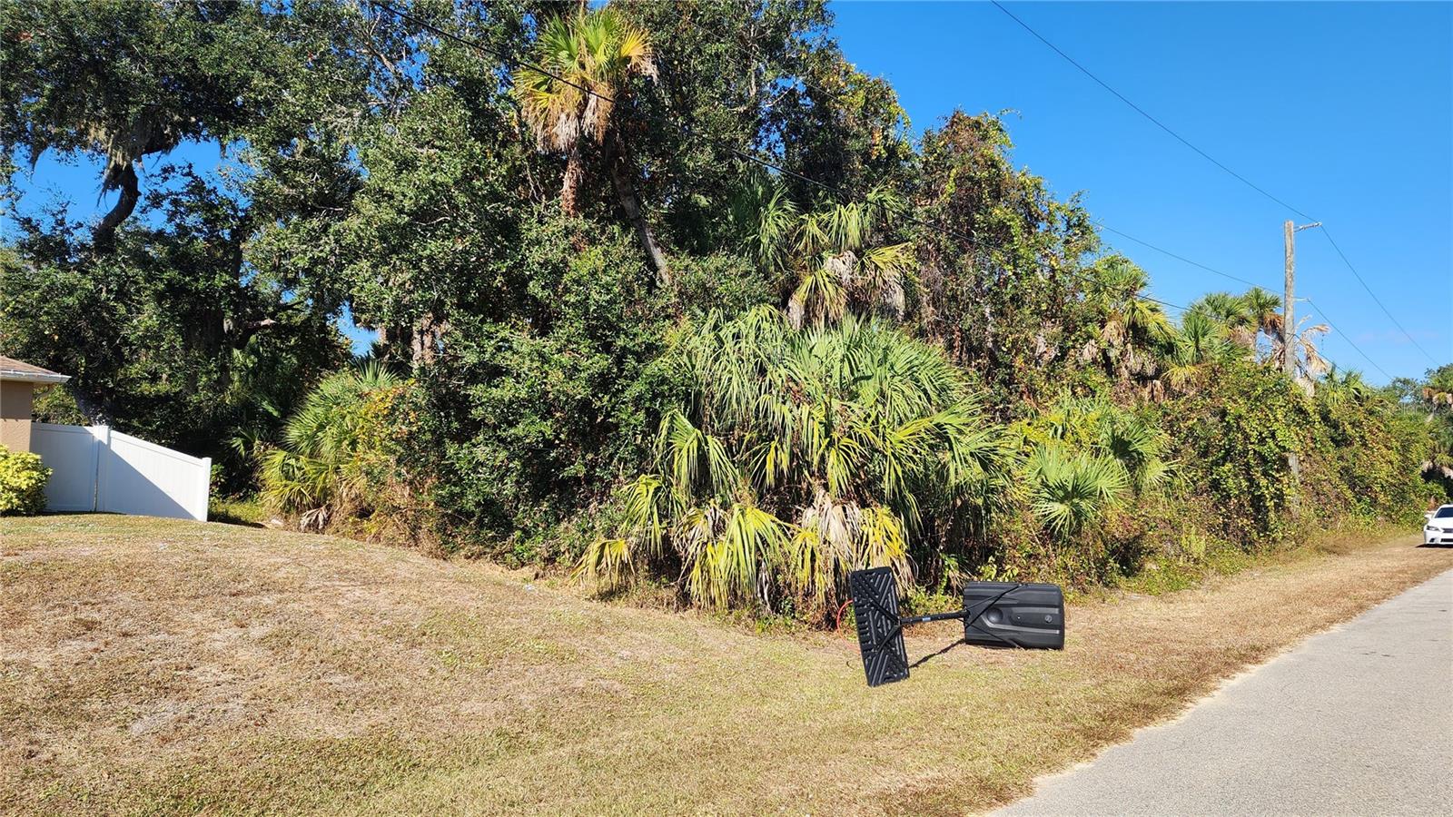 Andy Road, FL